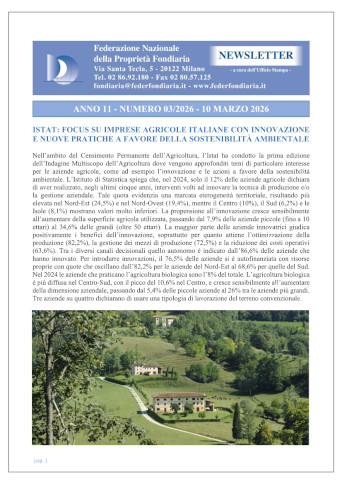 03.Newsletter 10 Marzo 2026