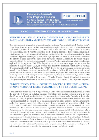 07.Newsletter 05 Agosto 2026