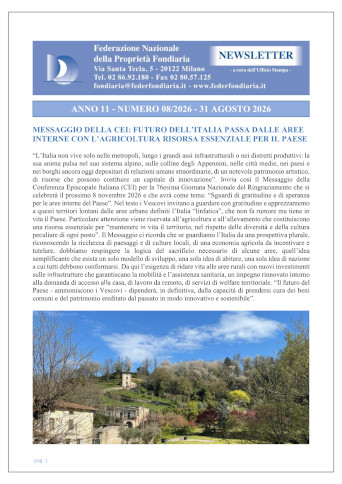 08.Newsletter 31 Agosto 2026